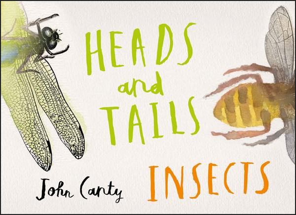 Heads & Tails: Insects