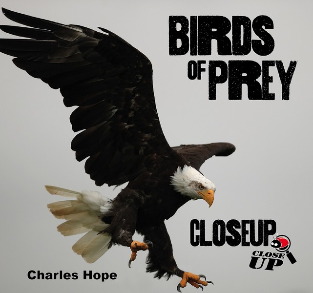 Birds of Prey