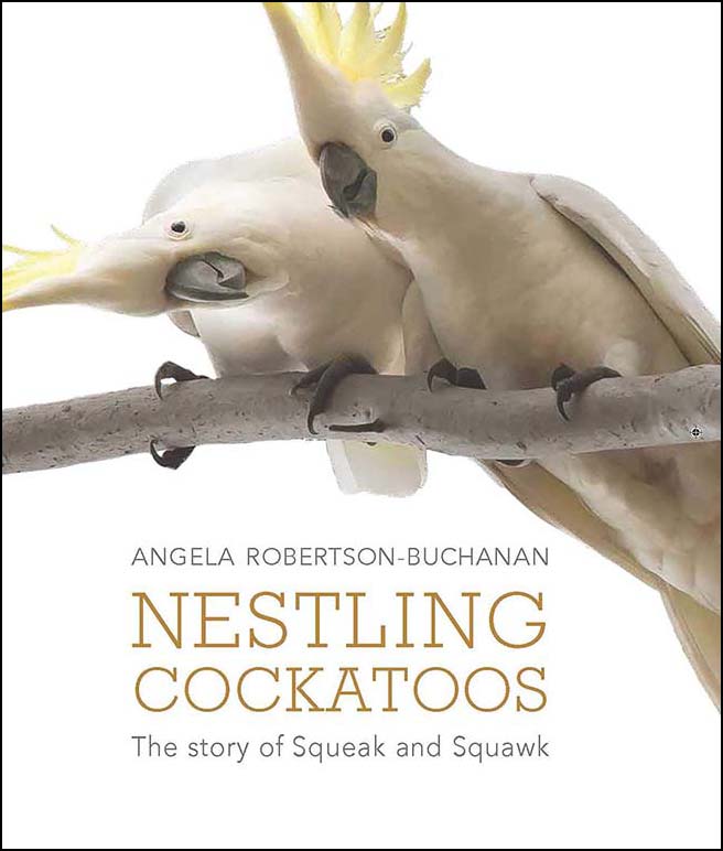 Nestling Cockatoos