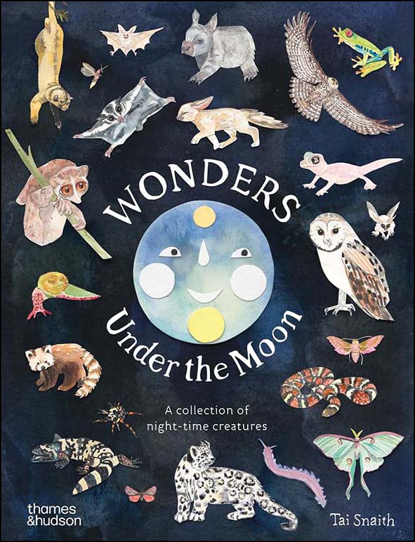 Wonders Under the Moon