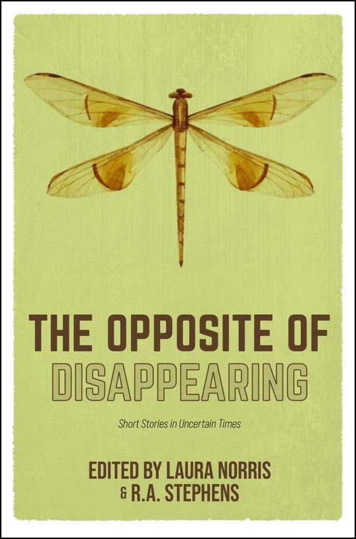 The Opposite of Disappearing
