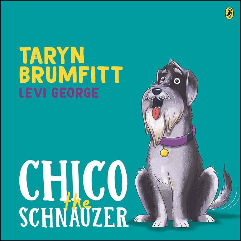Chico the Schnauzer