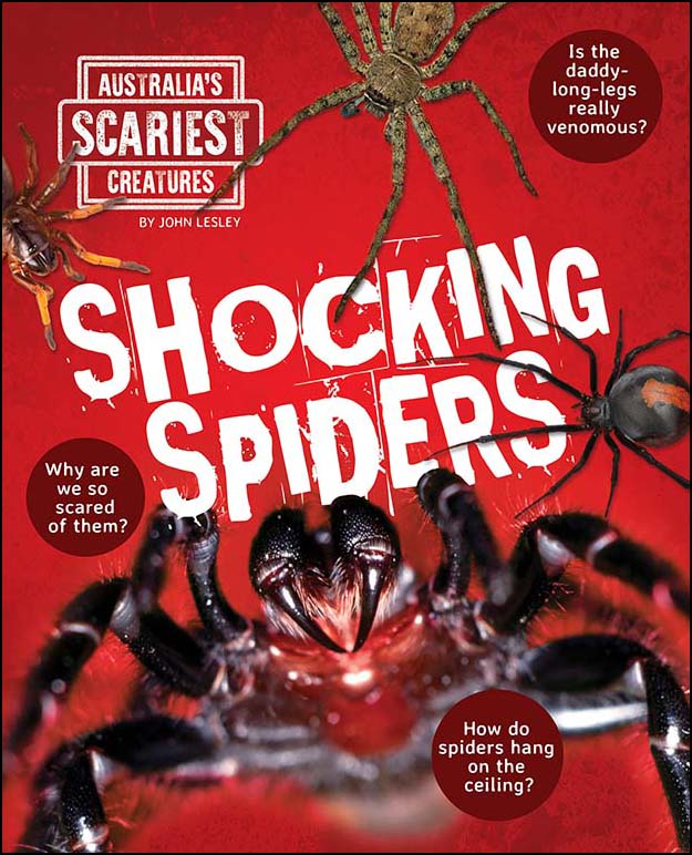 Australia's Scariest Creatures: Shocking Spiders