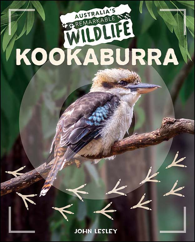Australia's Remarkable Wildlife: Kookaburra