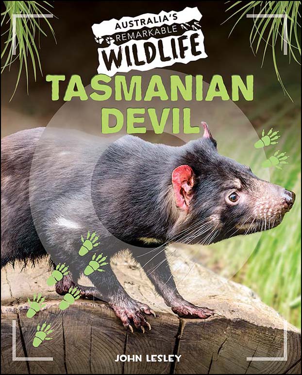 Australia's Remarkable Wildlife: Tasmanian Devil