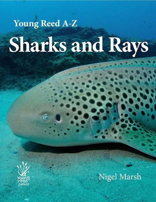 A-Z Sharks and Rays