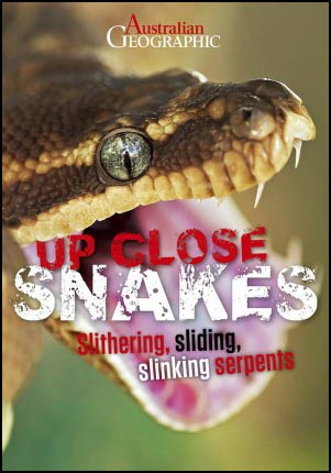 Up Close Snakes