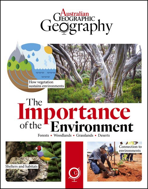 The Importance of the Environment