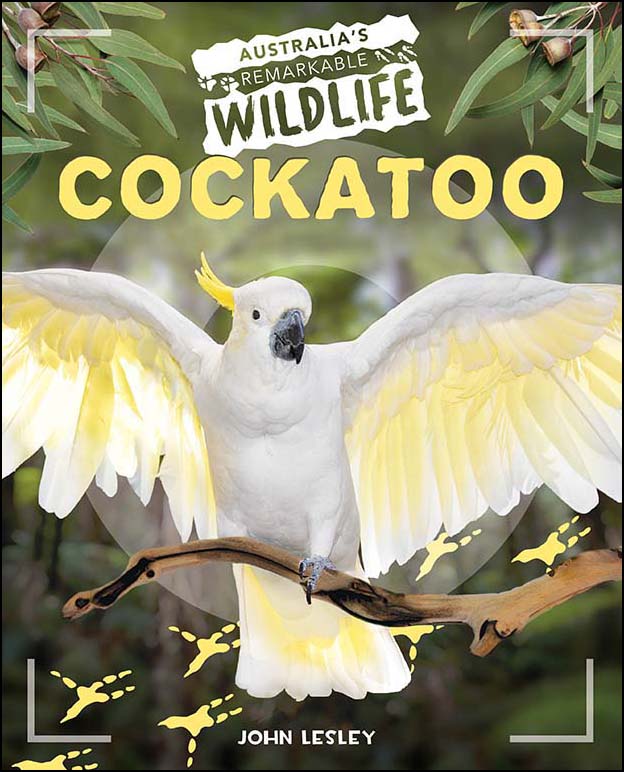 Australia's Remarkable Wildlife: Cockatoo