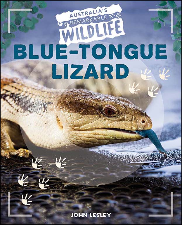 Australia's Remarkable Wildlife: Blue-Tongue Lizard