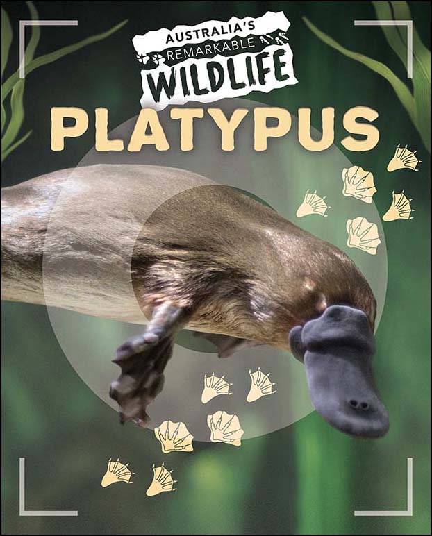 Australia's Remarkable Wildlife: Platypus