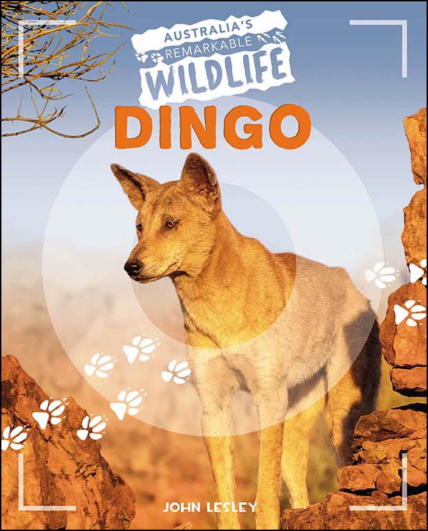 Australia's Remarkable Wildlife - Dingo