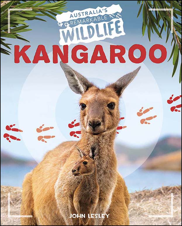 Australia's Remarkable Wildlife - Kangaroo