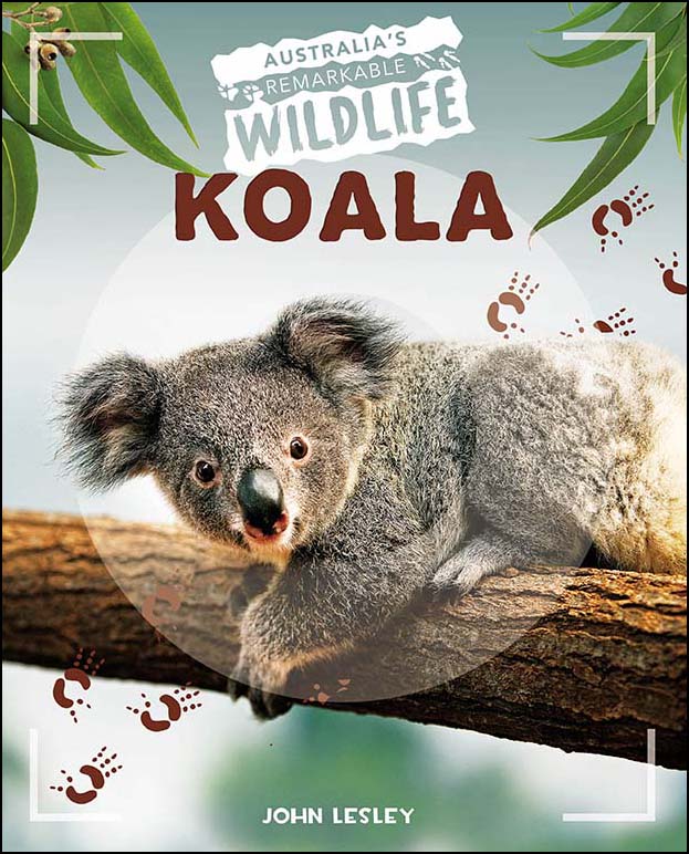 Australia's Remarkable Wildlife - Koala